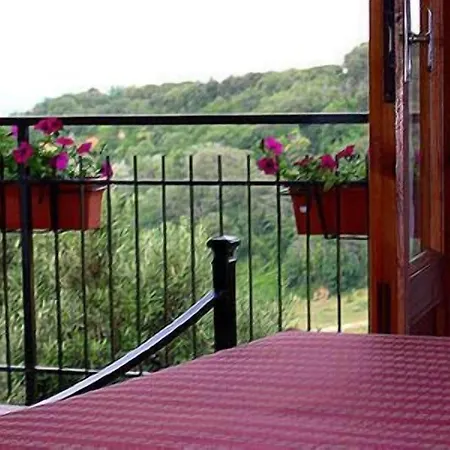 Sangallo - Panoramic Position - Valley And Vineyard View- Family Run 2* Montepulciano Stazione