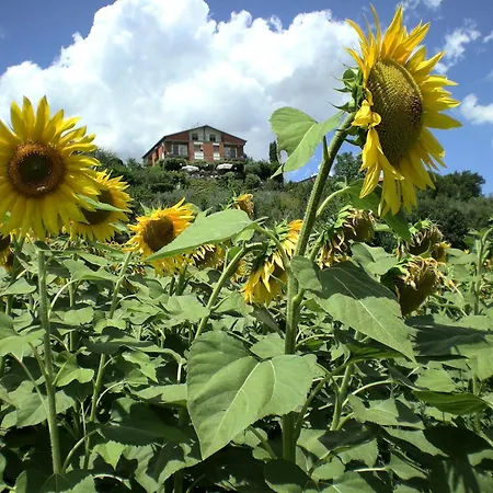 Otel Sangallo - Panoramic Position - Valley And Vineyard View- Family Run 2*