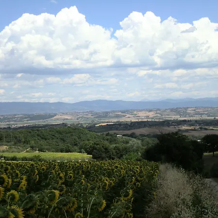 Sangallo - Panoramic Position - Valley And Vineyard View- Family Run Montepulciano Stazione