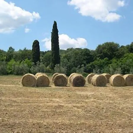 Sangallo - Panoramic Position - Valley And Vineyard View- Family Run 2* Montepulciano Stazione