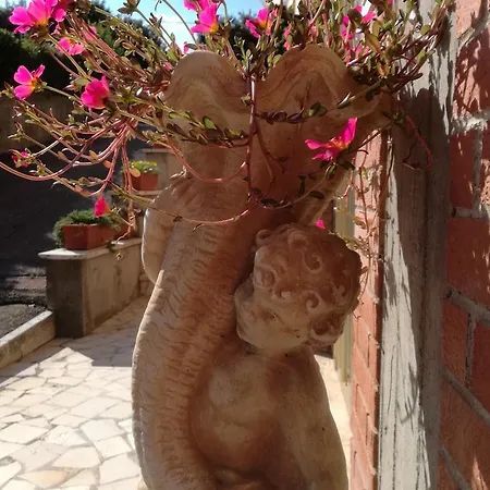 Sangallo - Panoramic Position - Valley And Vineyard View- Family Run 2*