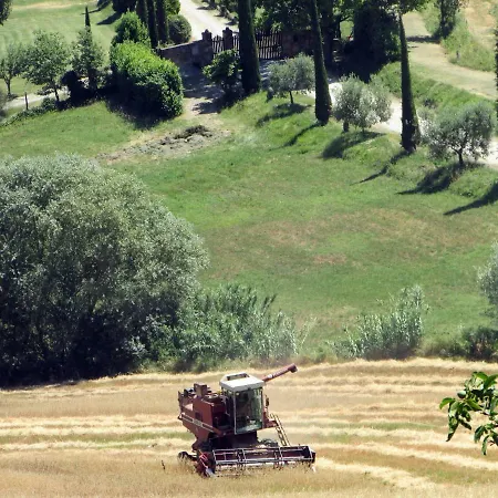 Sangallo Montepulciano