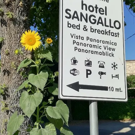 Sangallo - Panoramic Position - Valley And Vineyard View- Family Run