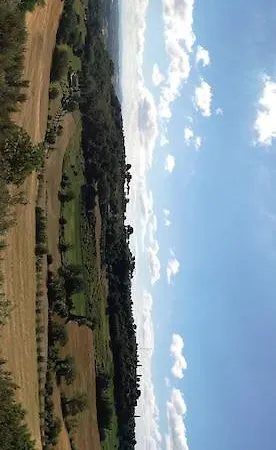 Sangallo