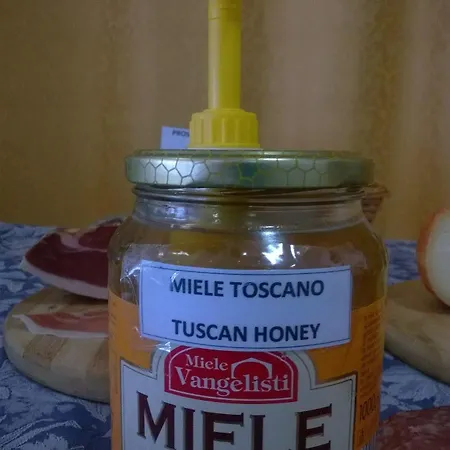Sangallo Отель 2*